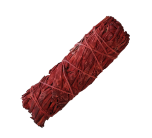 Sauge Blanche "Sang de Dragon"