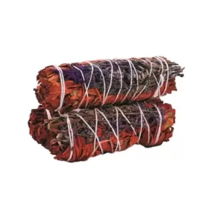 Sauge "Protection du Dragon"