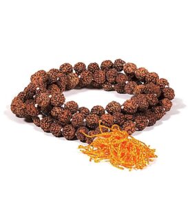 Collier Mala Rudraksha "Force Intérieure" 7MM
