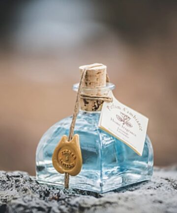 Parfum d'Ambiance "Senteur Marine"