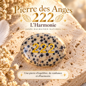 Pierre des Anges 222 🪶 - L'Harmonie